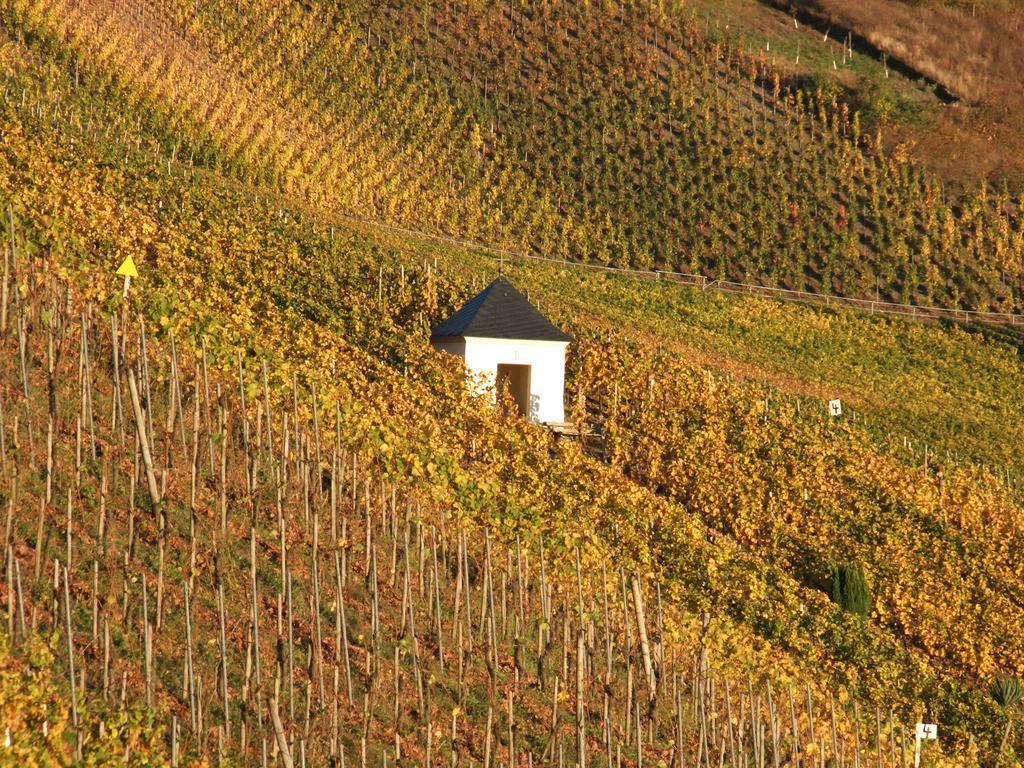 Weingut Lehnert-Veit Gutshotel Piesport Luaran gambar