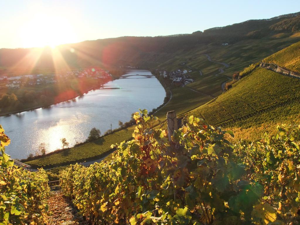 Weingut Lehnert-Veit Gutshotel Piesport Luaran gambar