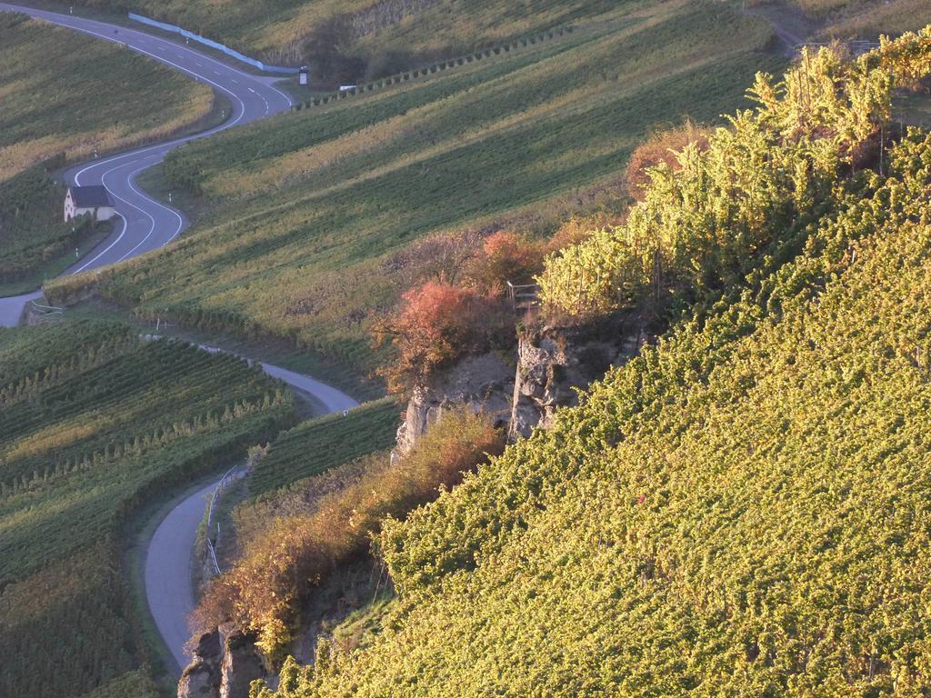 Weingut Lehnert-Veit Gutshotel Piesport Luaran gambar