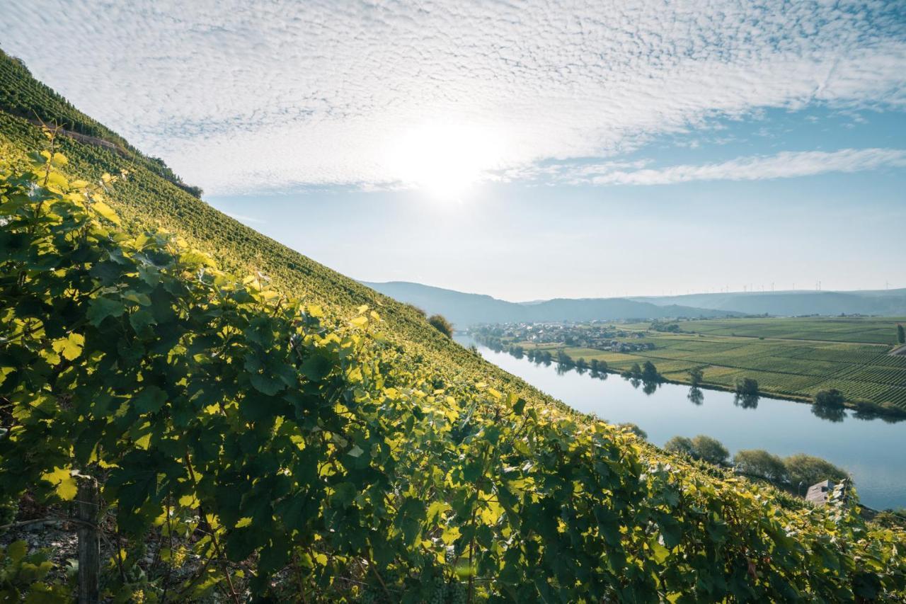 Weingut Lehnert-Veit Gutshotel Piesport Luaran gambar