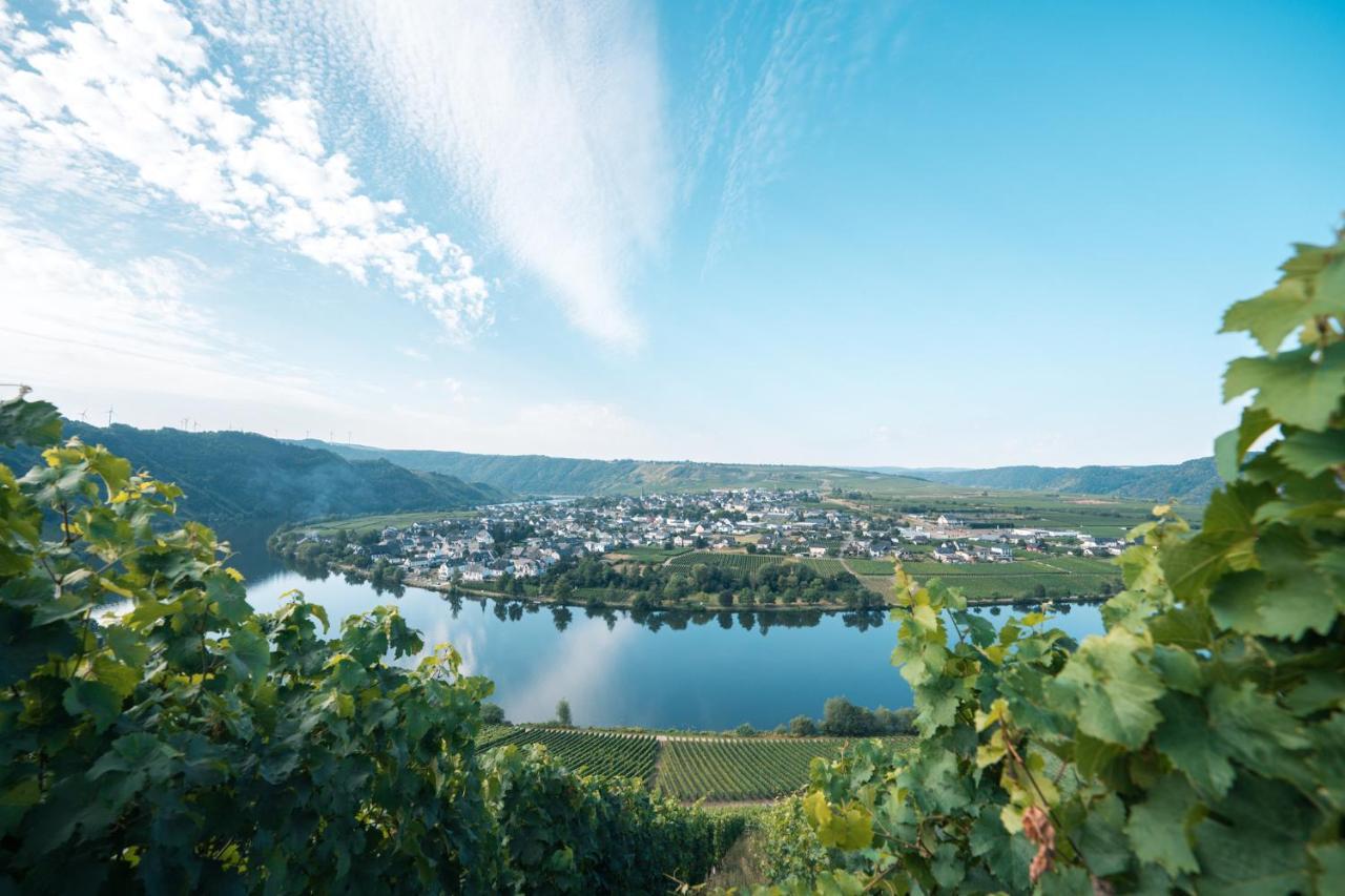 Weingut Lehnert-Veit Gutshotel Piesport Luaran gambar